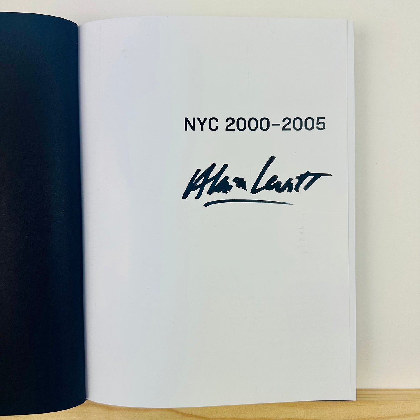 NYC 2000-2005 by Alain Levitt (cop car cover & print)